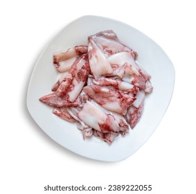 uncooked squid dish isolated on white background, top view