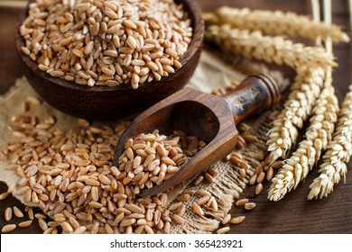 Uncooked whole spelt grain in a bowl with a wooden spoon and spelt ears on the table - Powered by Shutterstock