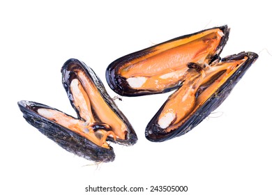 Uncovered Raw California Mussel (Mytilus Californianus). Isolated On White Background