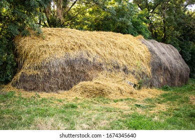 464 Loose hay Images, Stock Photos & Vectors | Shutterstock