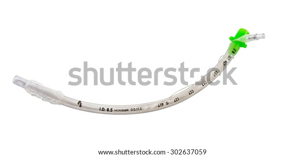 Uncuffed Endotracheal Tube Isolated On White Stock Photo 302637059 ...