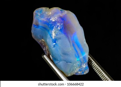 An Uncut And Beautiful Raw Opal Held By Tweezers.