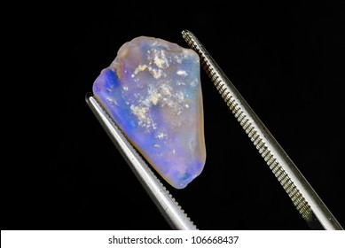 An Uncut And Beautiful Raw Opal Held By Tweezers.