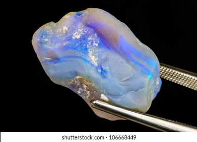 An Uncut And Beautiful Raw Opal Held By Tweezers.