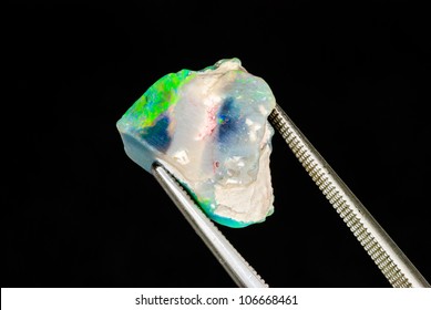 An Uncut And Beautiful Raw Opal Held By Tweezers.