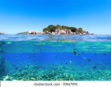 Under And Above Water Photo Of Small Island In Seychelles