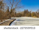 Under a blue Winter sky, a wooden board curves alongside a frozen forest pond at Schlitz Audubon Nature Preserve, near Brown Deer, WI.