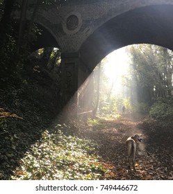 Under the Bridge