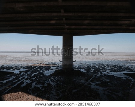Under bridge frames cast deep shadows. Water spreads flat, low tide reveals mudflats. One pillar stands firm, anchoring sky and sea. Sunlight bleeds through gaps in concrete structure