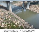 Under the bridge rapids.