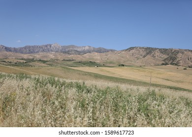 Under a clear blue sky in front of the hills on a wide valley there are fields with yellow uncut grass