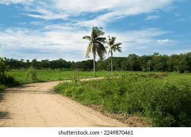 A under constriction brick road in a rural area of Chittagong. Morning scenery of a Bangladeshi village. coconut tree beside the mud pathway. - Shutterstock ID 2249870461