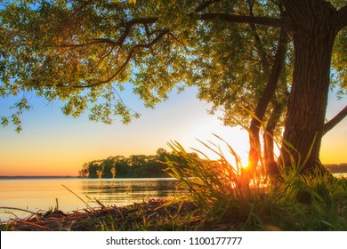 Under large tree on lake shore on sunset in summer. Summer landscape of nature. Big branchy tree on river bank in evening with clear sky on horizon. Warm sunlight on grass. Bright sun shining - Powered by Shutterstock