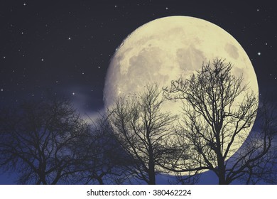 Moon Shadow Images Stock Photos Vectors Shutterstock