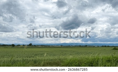 Under an overcast tapestry of tempestuous clouds, the undulating emerald fields whisper rural symphonies, invoking Lammas harvest musings