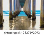 Under the Scripps Pier in La Jolla