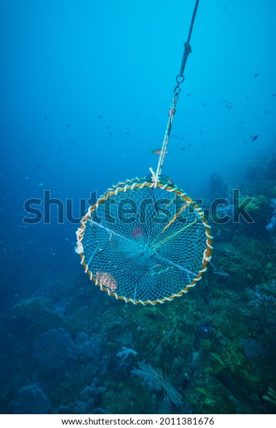 Under the sea, fish\
trap
