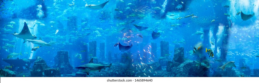 Under the sea. Generated illustration with under the water theme, fishes and sea creatures  - Shutterstock ID 1465894640