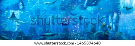 Under the sea. Generated illustration with under the water theme, fishes and sea creatures 