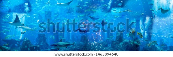 Under the sea. Generated illustration\
with under the water theme, fishes and sea creatures\
