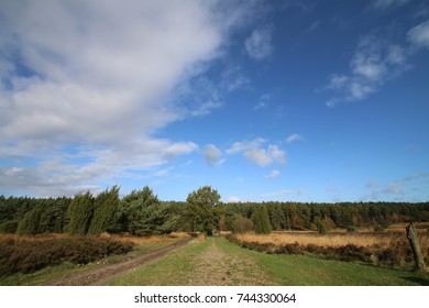 Under stormy clouds