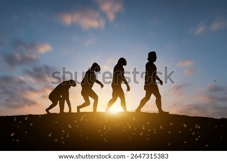 Under the sunset humans continue to evolve