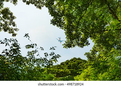 under the tree with airplane use for background.