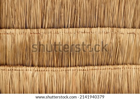 Under view of step dried nipa palm leaf that is used to make a roof. for background and textured.