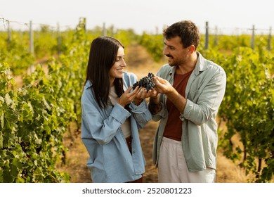 Under the warm afternoon sun, a couple strolls through a vineyard, joyfully sharing a moment as they admire a bunch of freshly picked grapes together in a peaceful landscape - Powered by Shutterstock