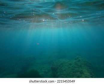 Under Water Photography With GoPro 8 Black