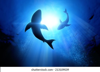 Under the waves circle two great white sharks. Illustration