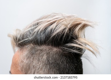 Undercut hairstyle with highlighted hair on a woman's head. Close up. Stylish hairstyle.