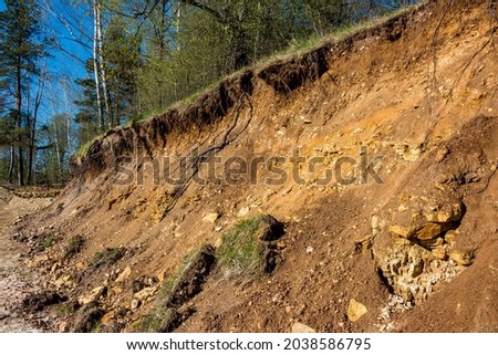 Undercutting a forest slope with heavy machinery, exposing bedrock under the soil layer