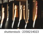 Underground cellar with elite sparkling wine on shelves, close up horizontal photo.