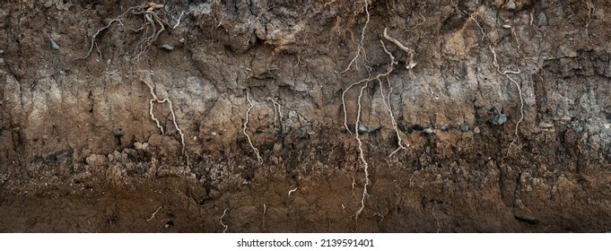 Underground earth texture, cross section of soil layers panorama