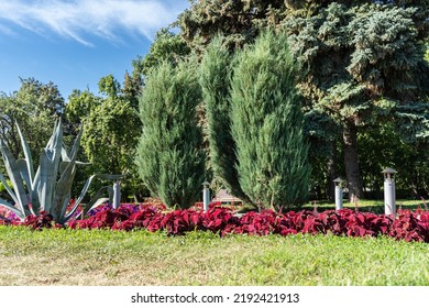 Underground House Of Gnomes, Chimney Pipe From Above On A Flower Bed In A City Park