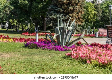 Underground House Of Gnomes, Chimney Pipe From Above On A Flower Bed In A City Park