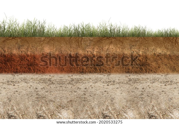 Underground soil layer of cross-section earth\
with grass on the top with white\
background