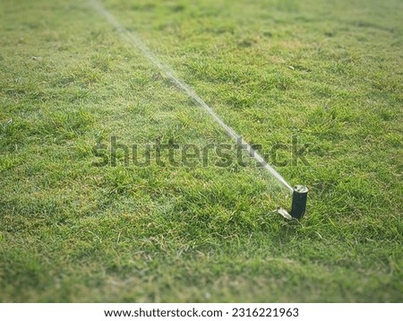 Similar – Image, Stock Photo The garden season has begun