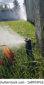 Underground Sprinkler misting in Lawn. - Shutterstock ID 1689539167