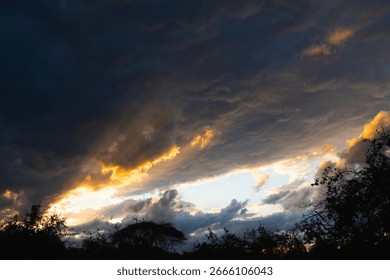 The underneath of a large Cumulonimbus cloud. The lumpy texture is the start of a mammatus structure and an indicator of the violent forces churning within the thunderhead