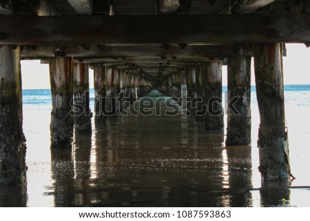 Underneath an old wharf 