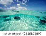 Under-over image of Stingrays and boat with sky