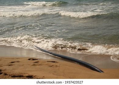 Undersea Internet cable in Atlantic shore