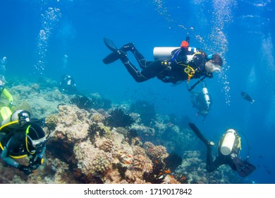 under-sea maldives, group of hardy scubadivers explores a coral reef