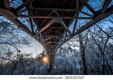 Underside of a bridge seen through bare branches at blue hour, Ukraine