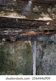 the underside of a decaying wooden structure with mold, supported by a rusted metal beam. The structure appears to be in poor condition, likely due to prolonged moisture exposure.