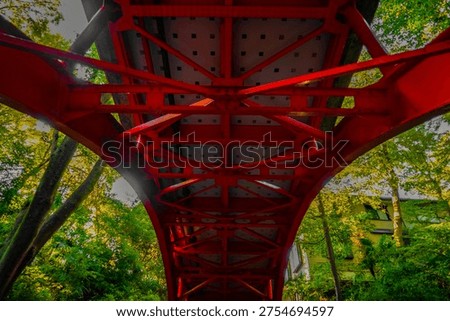 The underside of the red iron bridge