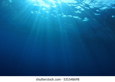 underwater sunlight wallpaper