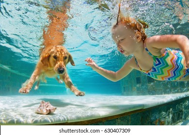 Underwater Action. Smiley Child Play With Fun, Training Golden Retriever Puppy In Swimming Pool - Jump And Dive. Active Water Games With Family Pet, Popular Dog Breed Like Companion On Summer Vacation